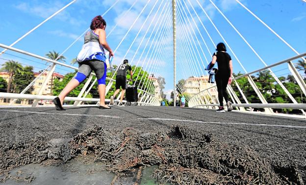 Estado de la moqueta en octubre; con las obras se va a sustituir el pavimento de cristal. 