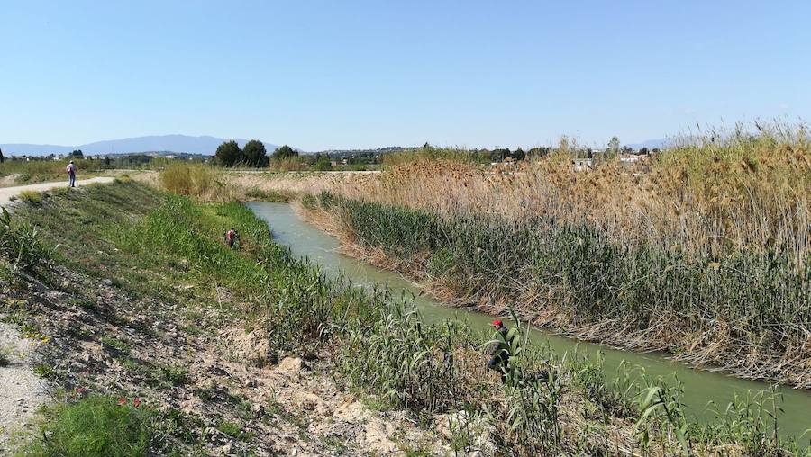 Los familiares instan a los cuerpos de seguridad a realizar una nueva búsqueda exhaustiva bajo las aguas del río Segura