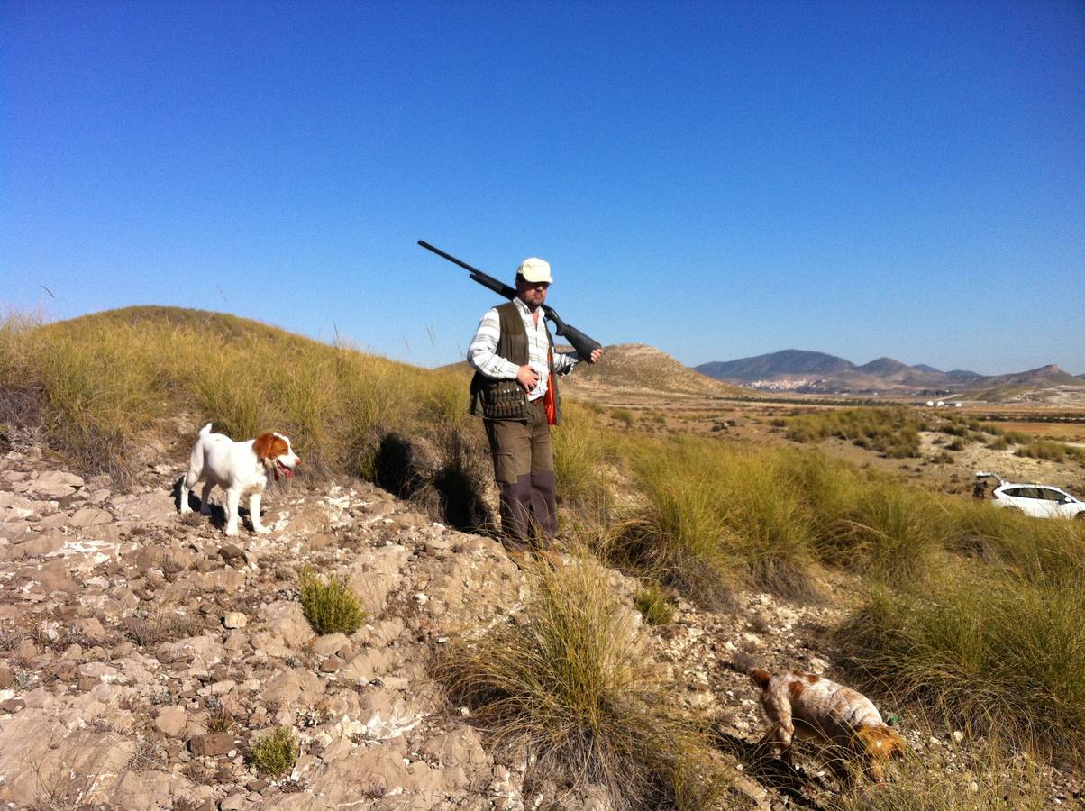 Un cazador acompañado de sus dos perros en Lorca.