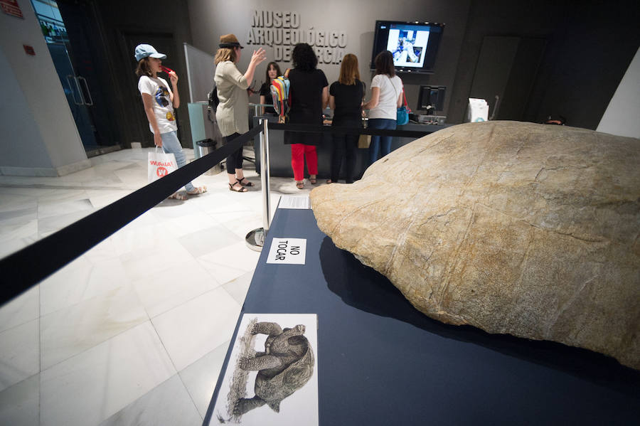 El Museo Arqueológico de Murcia aprovechó la jornada de la Noche de los Museos para inaugurar su almacén visitable, ofrecer talleres infantiles para los más pequeños y organizar visitas explicativas a los nuevos recursos de la institución