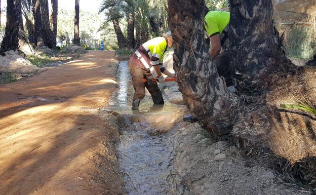 Dos operarios trabajan en el sistema de acequias del palmeral de Santiago y Zaraíche. 