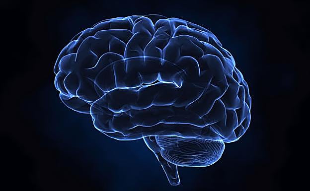 Los trastornos psiquiátricos tienen una base genética común