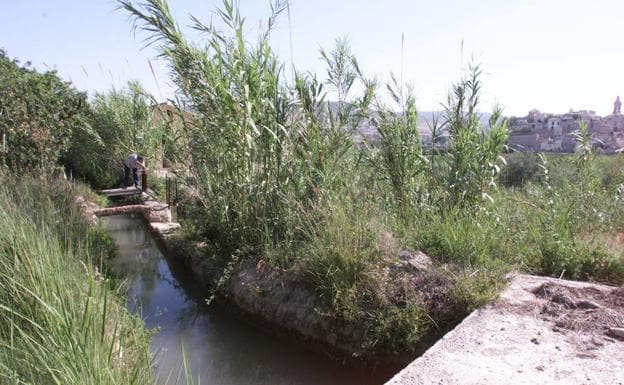 Acequia de La Andelma en Cieza.