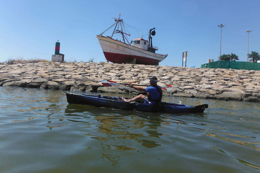 Singladura a remo por la desembocadura del Segura con paseo y desembarco en las dunas de la playa dels Tossals