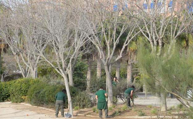 Imagen de archivo de las obras de remodelación del Parque de la Rosa. 