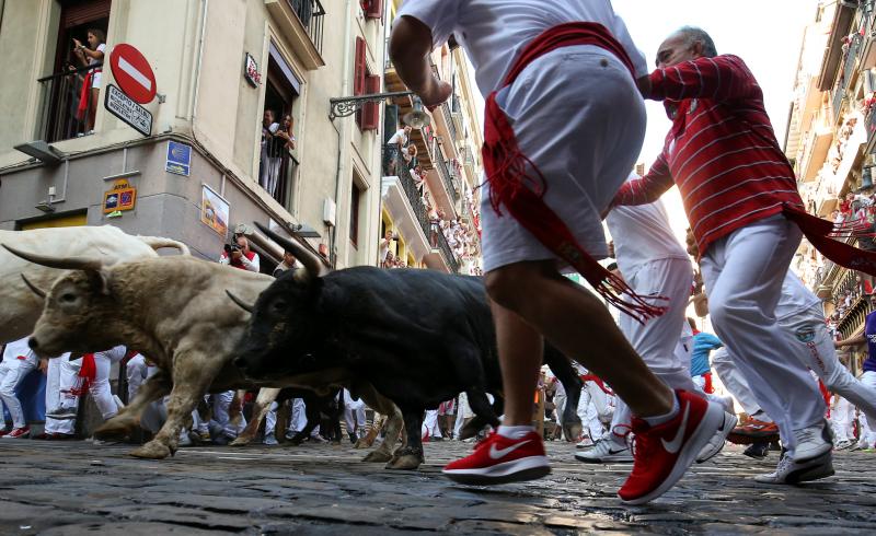 Los astados protagonizan una carrera rápida con algunos momentos de tensión