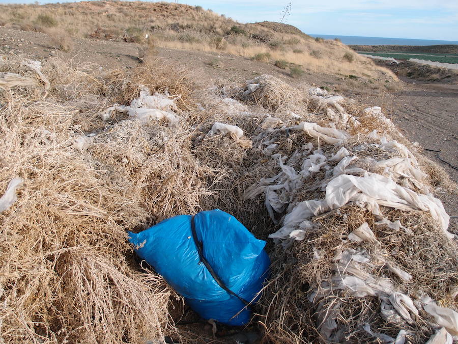 El parque regional Cabo Cope-Puntas de Calnegre es el tramo costero del país más contaminado por residuos plásticos