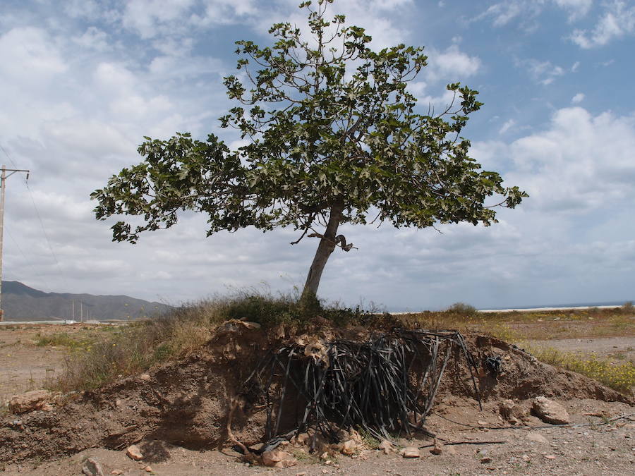 El parque regional Cabo Cope-Puntas de Calnegre es el tramo costero del país más contaminado por residuos plásticos