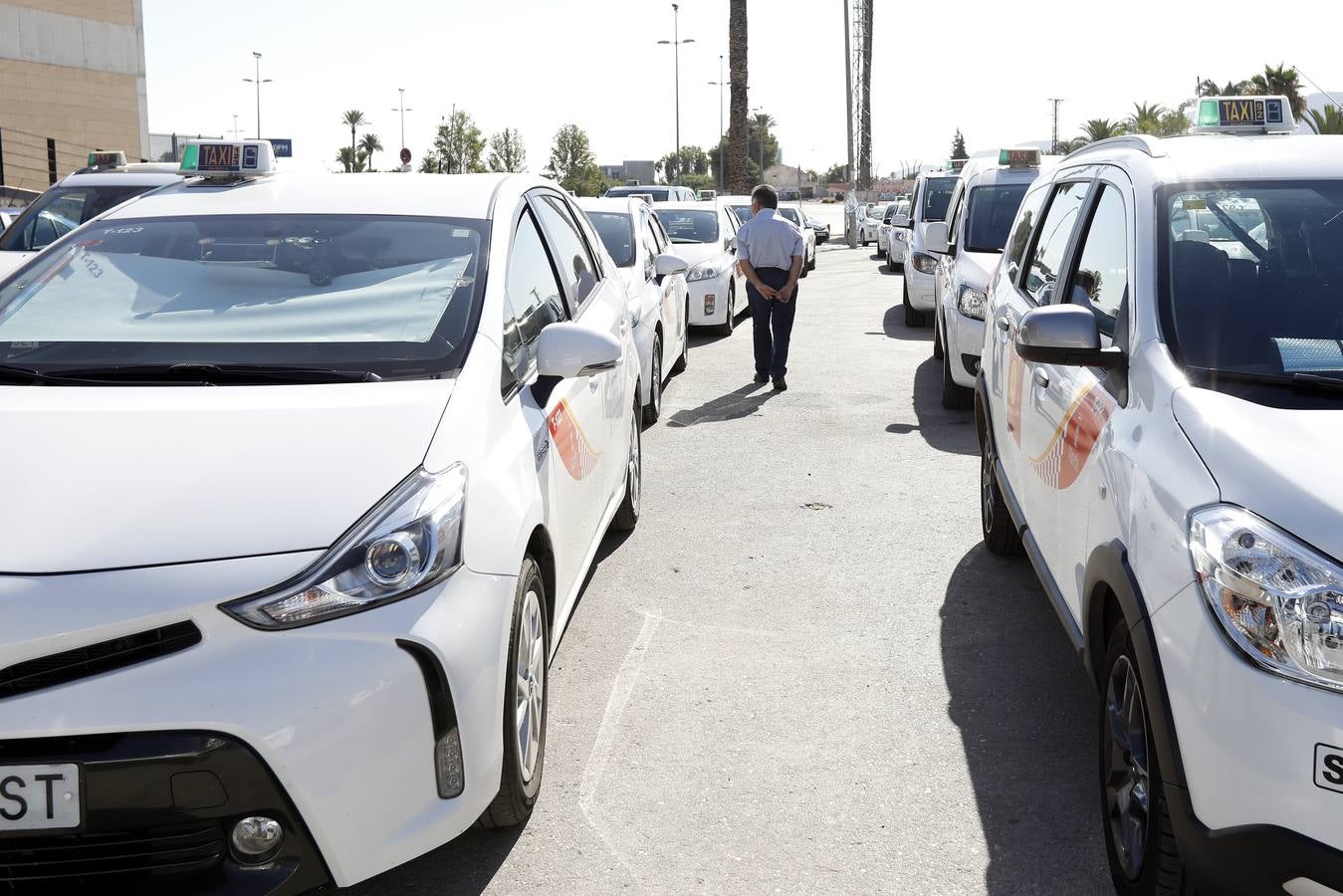 Los taxistas de Murcia acordaron en la asamblea celebrada en la mañana de este lunes, sumarse a la huelga indefinida que llevan a cabo sus compañeros en otras ciudades españolas como Madrid, Barcelona y Valencia como «muestra de solidaridad».