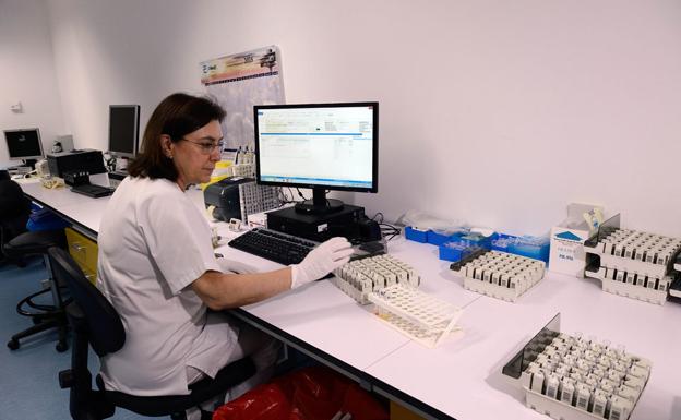 Una trabajadora del laboratorio de vectores de La Arrixaca, ayer, mientras analizaba muestras de mosquitos tigre. 