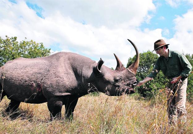 Junto a un rinoceronte negro en la reserva de Ol Pejeta, en Kenia. Mejor no traten de hacer esto en sus casas. 