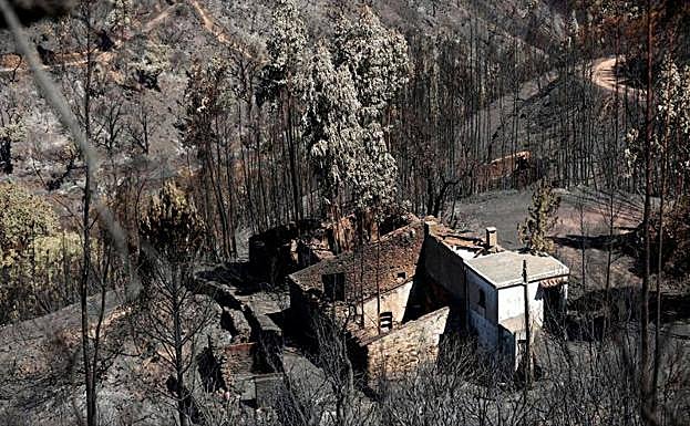 Vista de una zona devastada por los incendios en Monchique. 