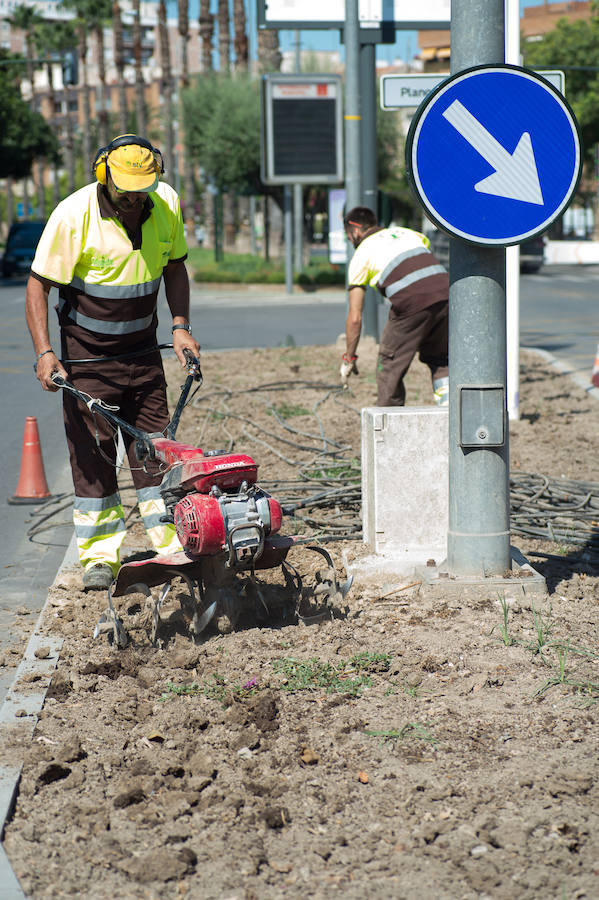 Medio centenar operarios de jardinería plantan hasta finales de agosto en Murcia más de 70.000 flores para la Feria de Septiembre en el jardín del Malecón.