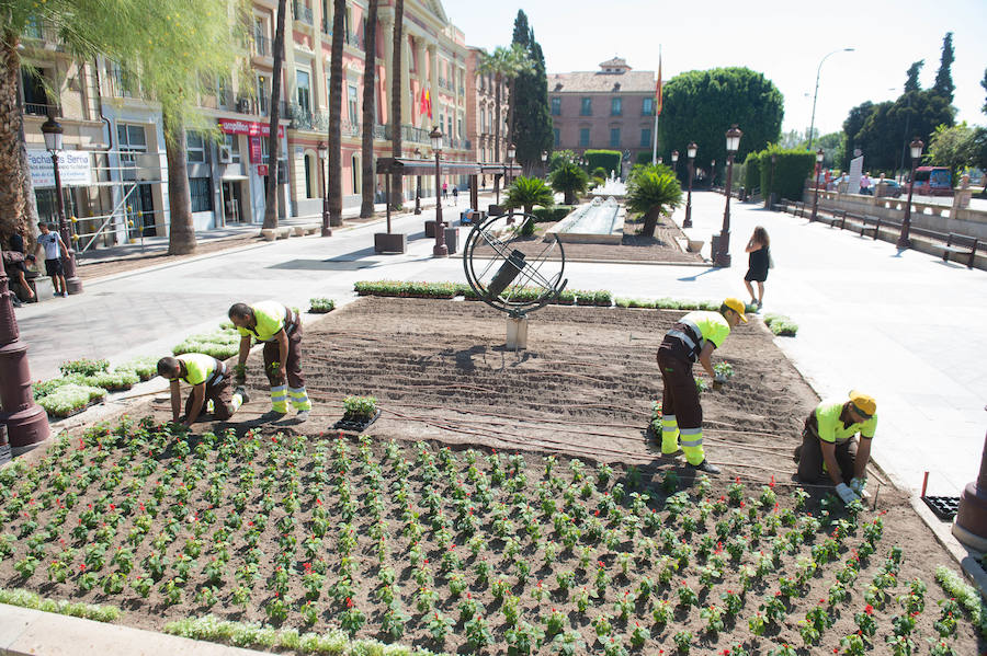 Medio centenar operarios de jardinería plantan hasta finales de agosto en Murcia más de 70.000 flores para la Feria de Septiembre en el jardín del Malecón.