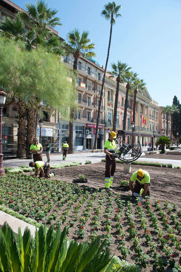 Medio centenar operarios de jardinería plantan hasta finales de agosto en Murcia más de 70.000 flores para la Feria de Septiembre en el jardín del Malecón.