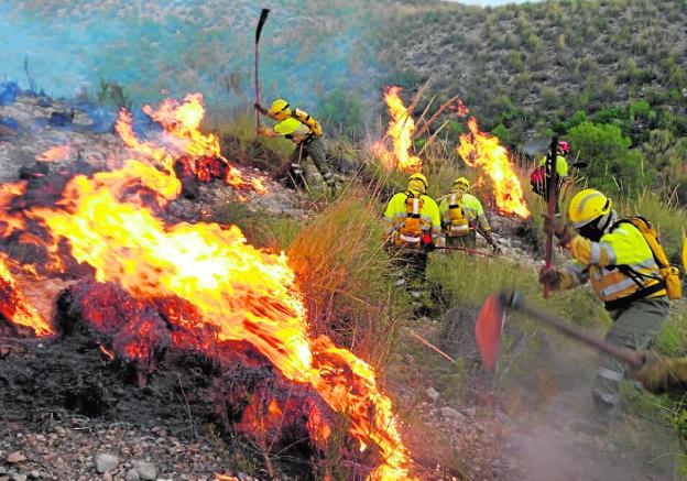 Efectivos tratan de apagar uno de los incendios ocurridos en los montes de la Región. 