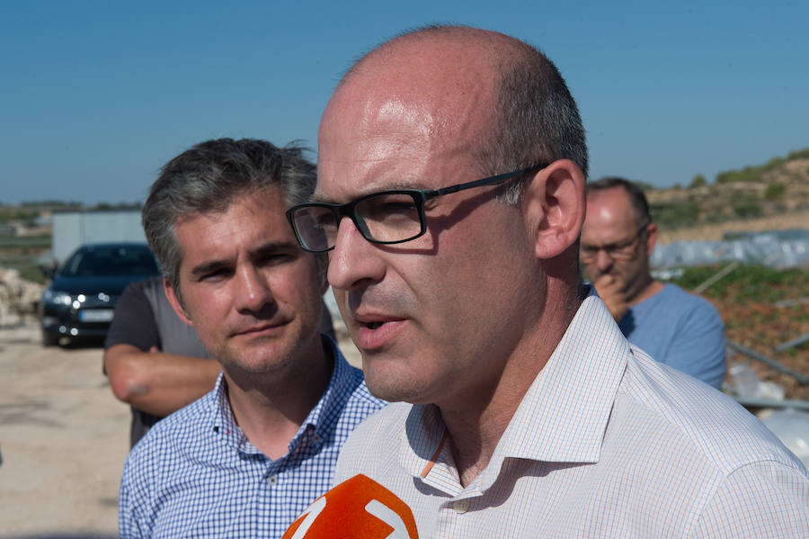 El consejero murciano de Agua, Agricultura, Ganadería y Pesca, Miguel Ángel del Amor, visita en Aledo la zona de parrales de uva de mesa dañados por las recientes tormentas de granizo.