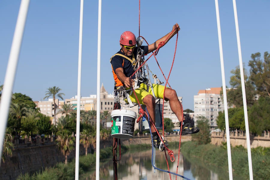 El gerente de la empresa Vertical Yecla comienza a limpiar los puentes de la capital diseñados por Santiago Calatrava, empezando por el situado frente al Hospital Reina Sofía, a una altura de 8 metros.