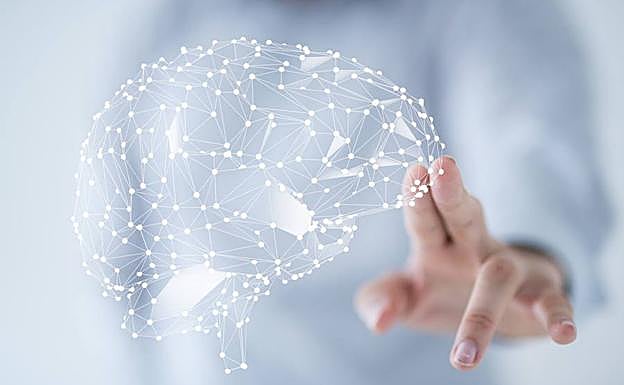 Descubren una red de células clave en la experimentación del tiempo