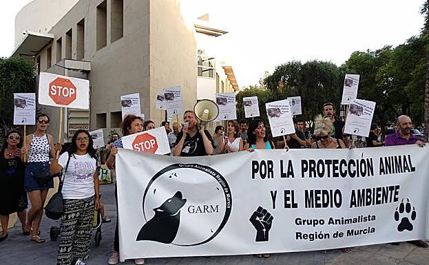 Un grupo de manifestantes ante el Auditorio.