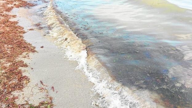 La orilla de la playa de Manzanares amaneció ayer llena de algas y suciedad. 