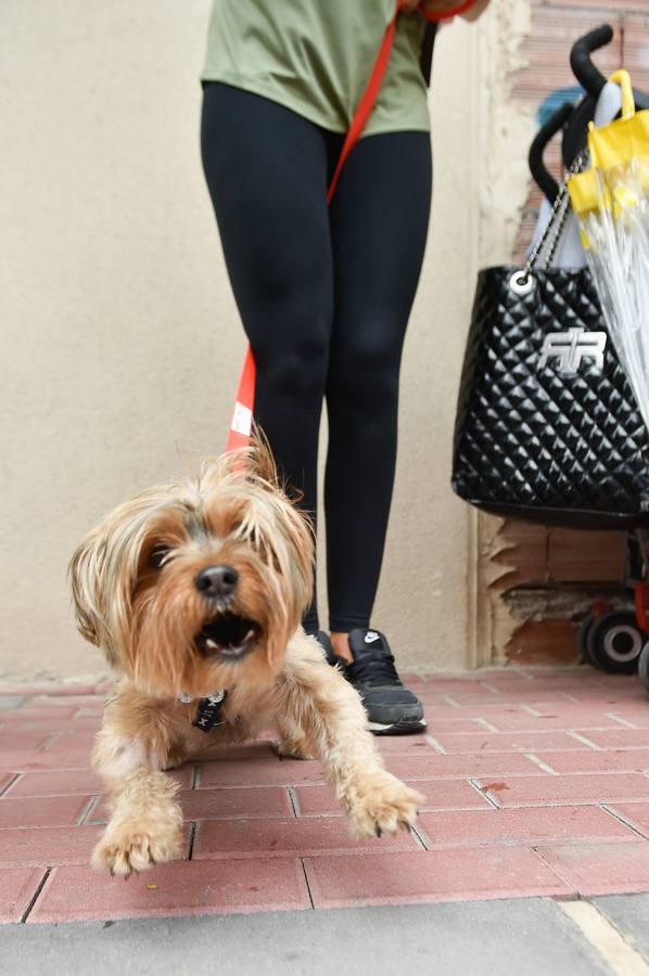 Miles de móviles captaron las imágenes de la romería, en la que no faltaron las flores, las velas, los sombreros, los churros y hasta un helicóptero. 