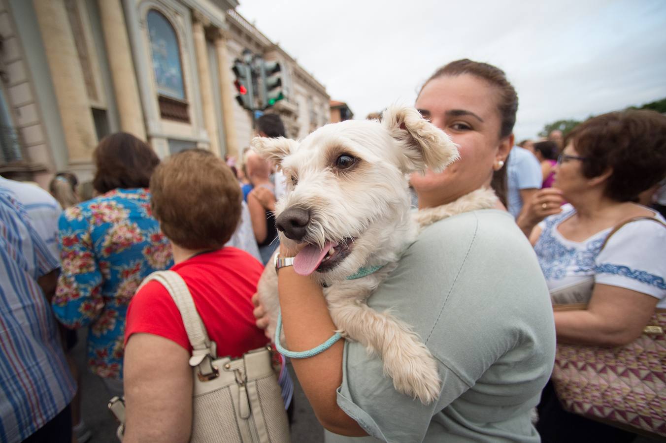 Miles de móviles captaron las imágenes de la romería, en la que no faltaron las flores, las velas, los sombreros, los churros y hasta un helicóptero. 