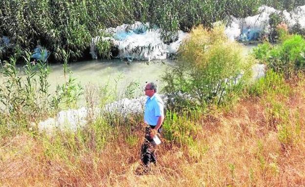 Un agente medioambiental de la Confederación Hidrográfica toma muestras en el río Segura.