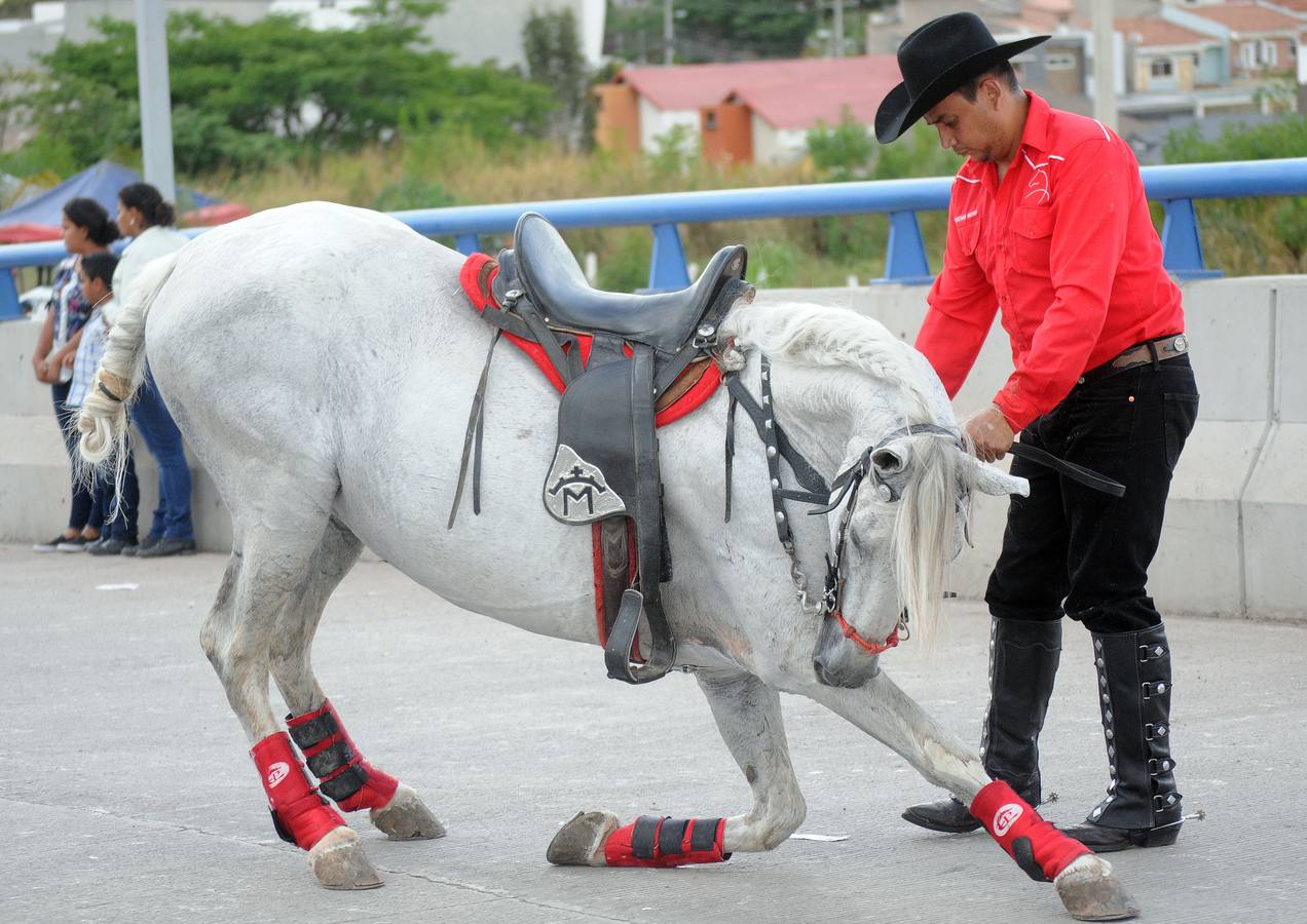 Festejos de carnaval en el Bulevar Suyapa, en Tegucigalpa (Honduras). Miles de hondureños celebran el 440 aniversario de la fundación en 1578 por los españoles de Tegucigalpa, la capital del país, con la participación de bandas musicales y desfiles. 