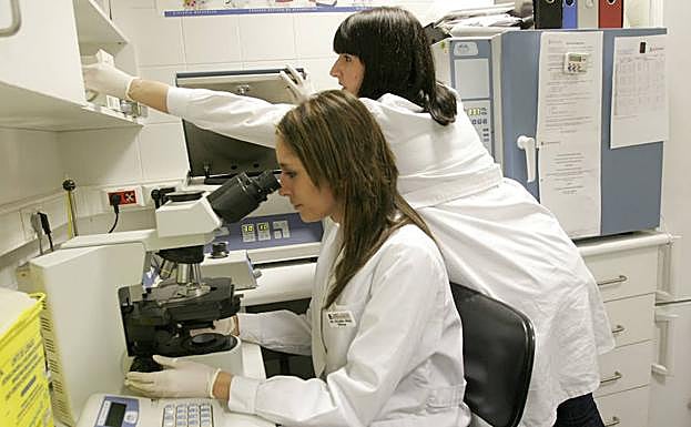 Investigadoras del Instituto Bernabeu en una foto de archivo.