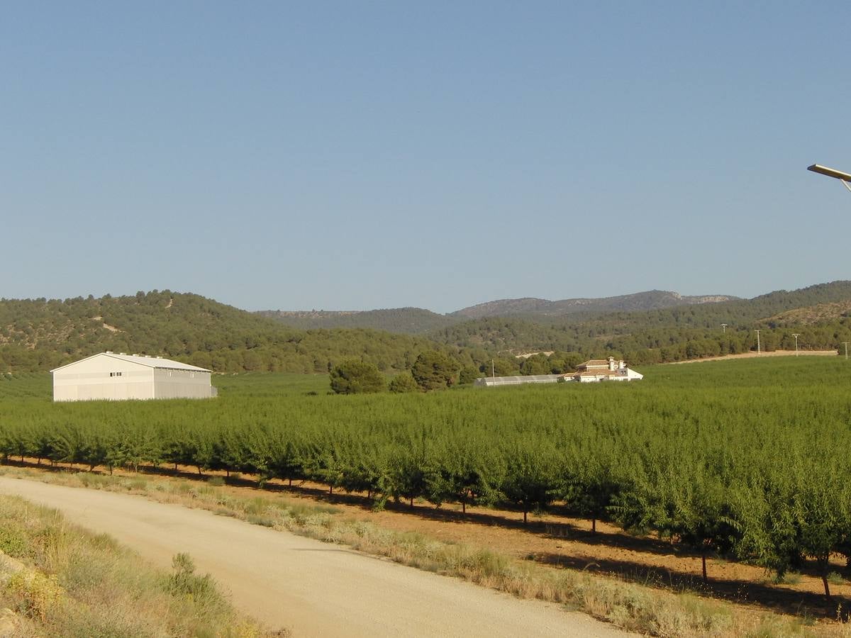 Los regantes tradicionales denuncian la transformación ilegal de fincas de secano en Caravaca de la Cruz y Moratalla y el expolio de los acuíferos.