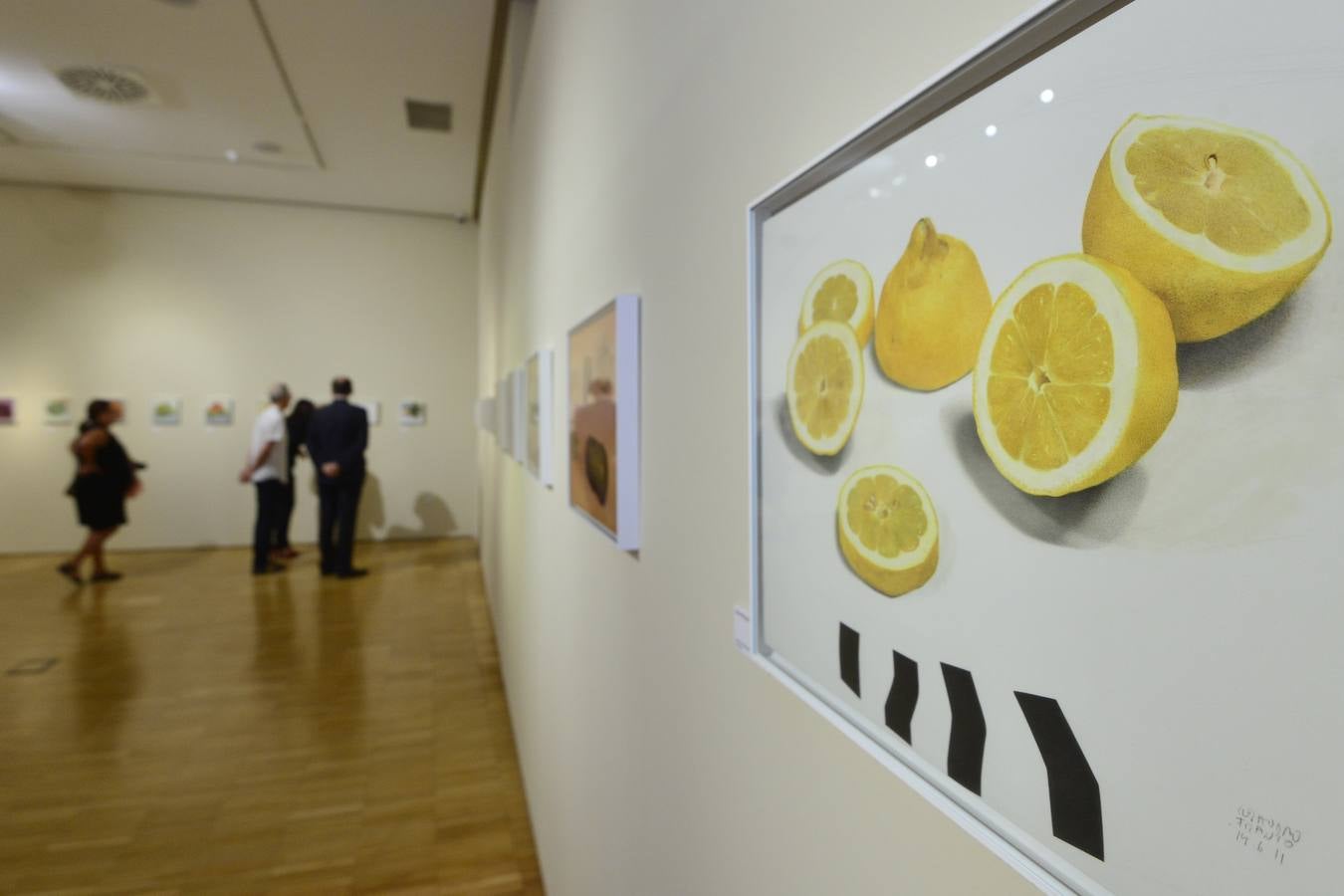 El Museo de Bellas Artes de Murcia inaugura 'Naturalezas', una muestra que recoge dos décadas de trabajo del pintor 