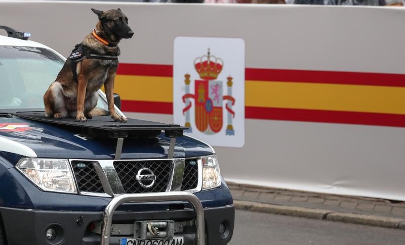 Fotos: Banderas, aplausos y vivas a España y la Corona