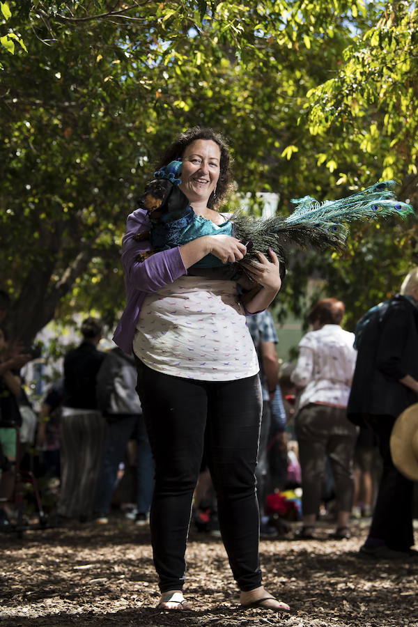 El evento es parte de las celebraciones del Oktoberfest de Melbourne, inspiradas en el tradicional festival bávaro de Alemania.