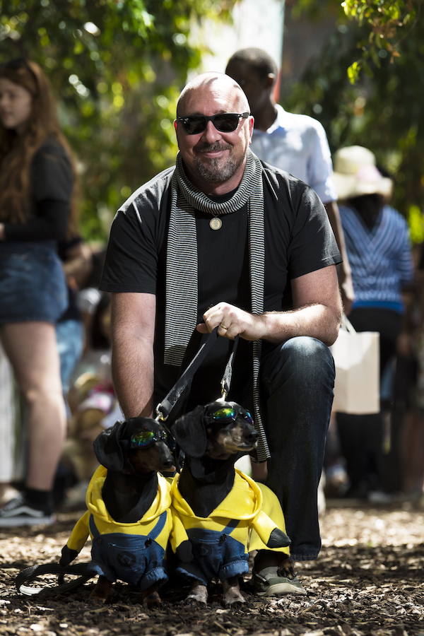 El evento es parte de las celebraciones del Oktoberfest de Melbourne, inspiradas en el tradicional festival bávaro de Alemania.