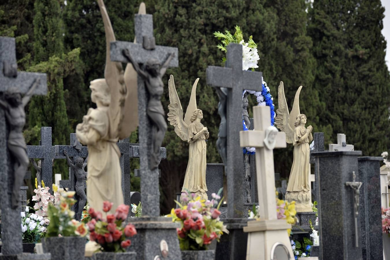 El día de Todos los Santos sigue siendo por excelencia la fecha más demandada para que los murcianos visiten los cementerios del municipio, los de pedanías y, en especial, el de Nuestro Padre Jesús, para cumplir con la tradición de llevar flores y rezar unas oraciones por los fieles difuntos.