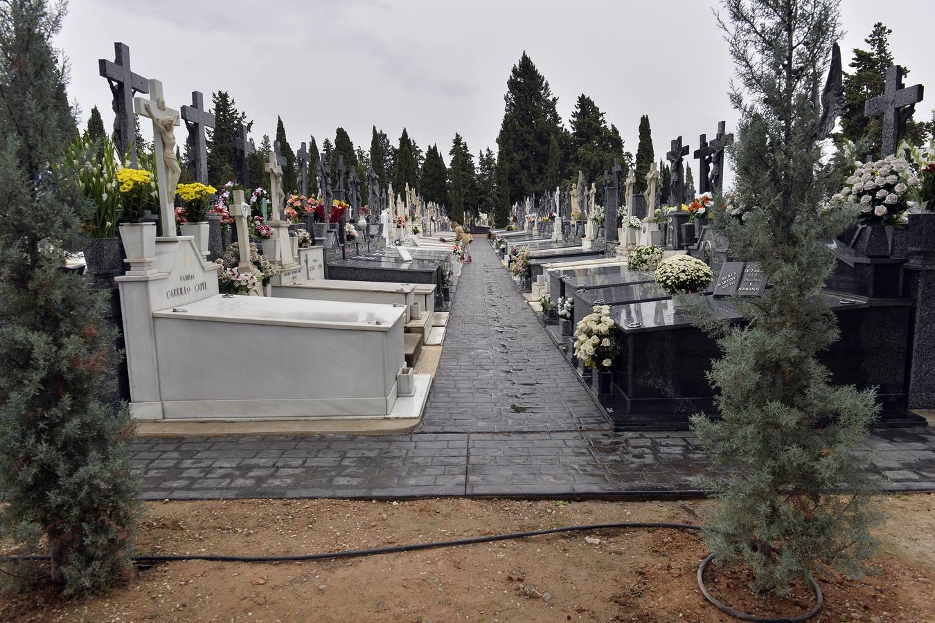 El día de Todos los Santos sigue siendo por excelencia la fecha más demandada para que los murcianos visiten los cementerios del municipio, los de pedanías y, en especial, el de Nuestro Padre Jesús, para cumplir con la tradición de llevar flores y rezar unas oraciones por los fieles difuntos.