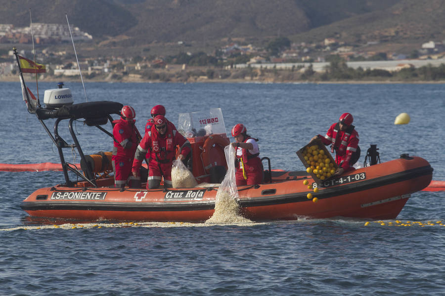 El ejercicio activó seis planes de emergencia de distintos organismos