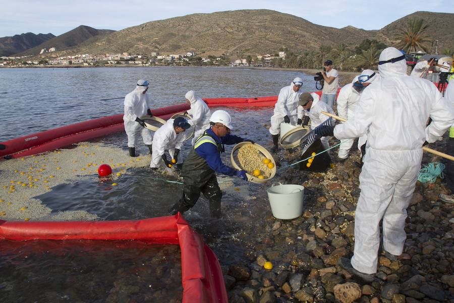 El ejercicio activó seis planes de emergencia de distintos organismos