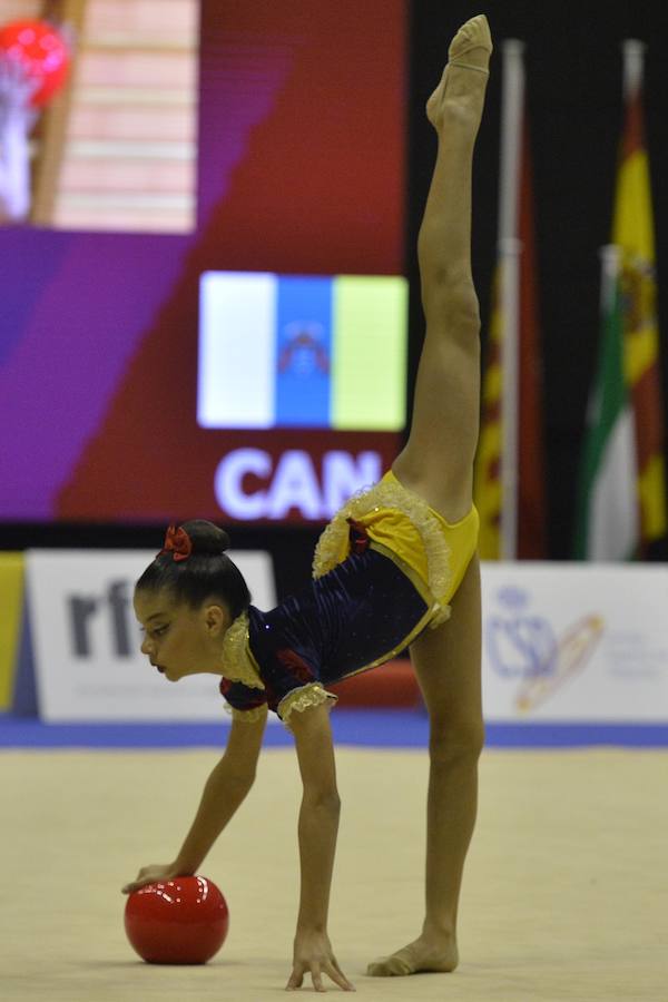 Más de 3.000 deportistas y cerca de 5.000 personas tomarán parte en este evento que se desarrolla en el Palacio de los Deportes de Murcia del 8 al 11 de noviembre