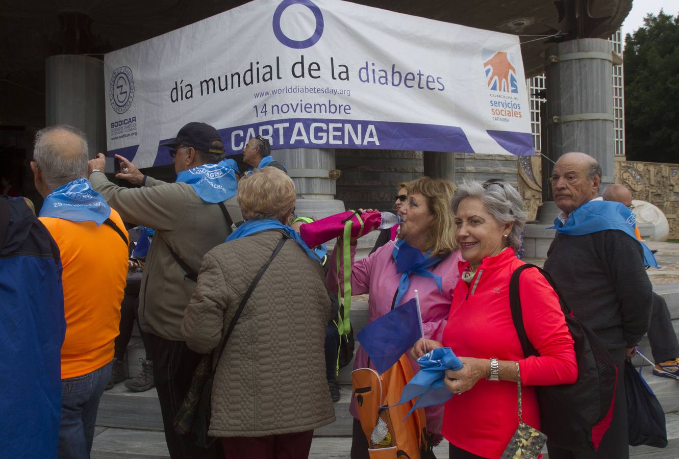 La presidenta de la Sociedad de Diabetes de Cartagena y Comarca (Sodicar), María Dolores García, reclamó mejoras en la formación y la atención de los diabéticos durante la lectura del manifiesto realizado ayer ante la Asamblea Regional con motivo del Día Mundial de la Diabetes.