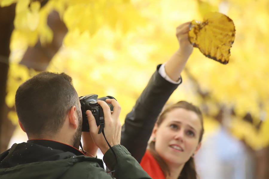 Unos cien fotógrafos participan en este concurso, organizado por 'La Verdad'