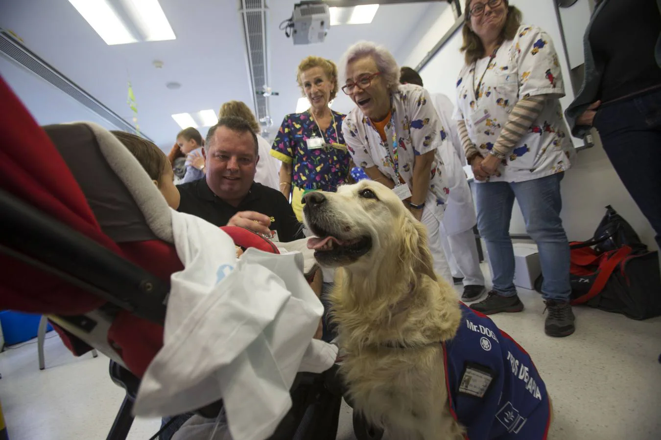 Siete canes forman parte del equipo del 'Doctor Guau', un proyecto puesto en marcha por la Consejería de Salud con el objetivo de contribuir a la recuperación de los niños hospitalizados a través de la mejora física, social, emocional y cognitiva mediante terapias con perros