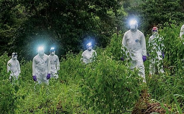 A la caza de la enfermedad X: la próxima epidemia mundial