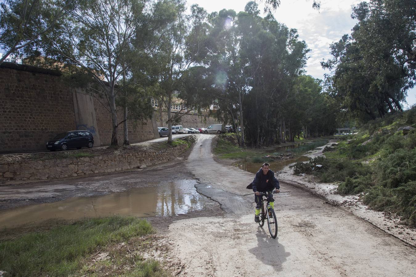 Maleza, troncos, plásticos y material de arrastre atoran tramos urbanos de los cauces, tras las inundaciones de la semana pasada