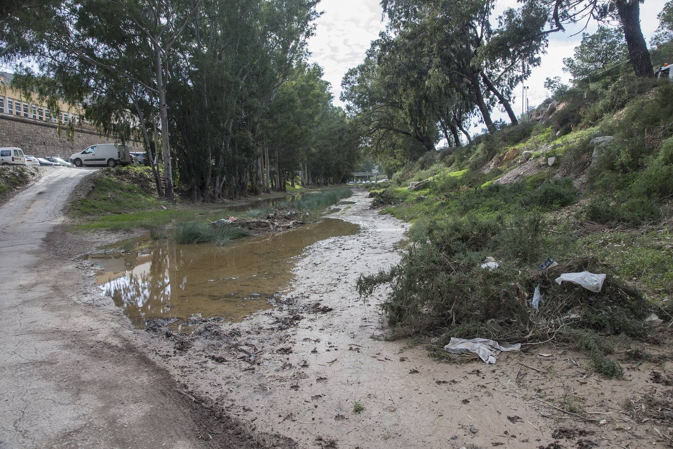 Maleza, troncos, plásticos y material de arrastre atoran tramos urbanos de los cauces, tras las inundaciones de la semana pasada