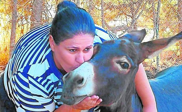 Besar a tu mascota puede ser muy perjudicial para la salud
