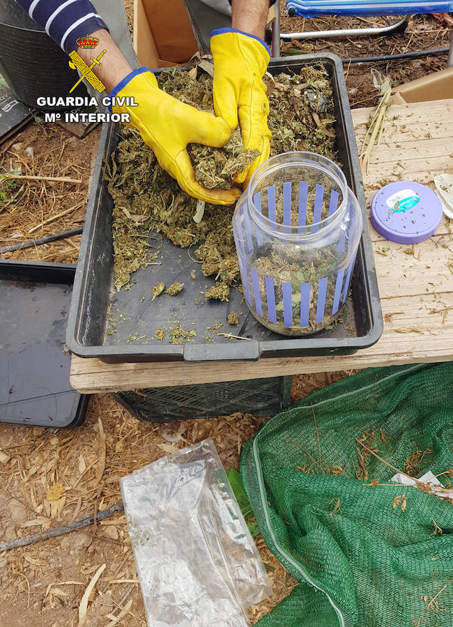 La Guardia Civil ha detenido a cinco personas, con edades comprendidas entre 21 y 48 años, y el juez ha decretado prisión preventiva para una de ellas