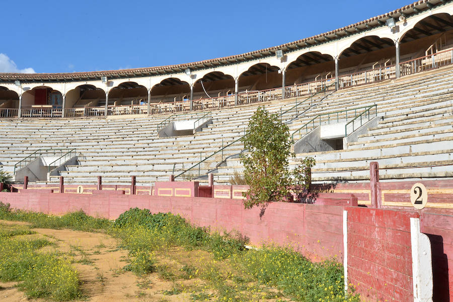 Según adelantó la consejera de Cultura, Miriam Guardiola, el edificio será un espacio multifuncional que acogerá espectáculos culturales, deportivos, eventos comerciales y de ocio