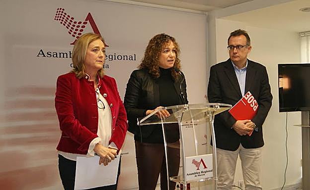 La viceportavoz del Grupo Parlamentario Socialista, Isabel Casalduero, durante su comparecencia en la Asamblea Regional.
